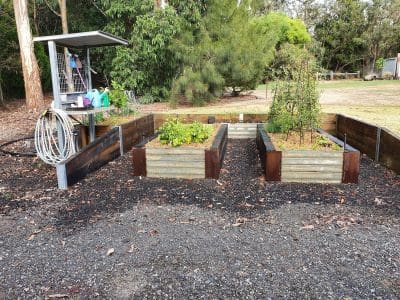 Raised Garden Beds - grow your vegetables