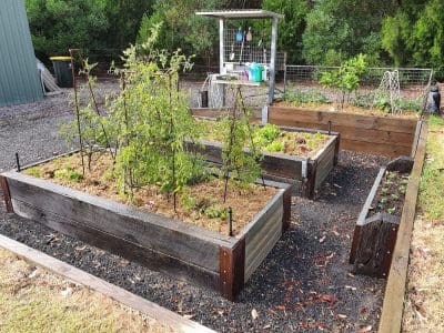 Raised Timber Garden Beds completed